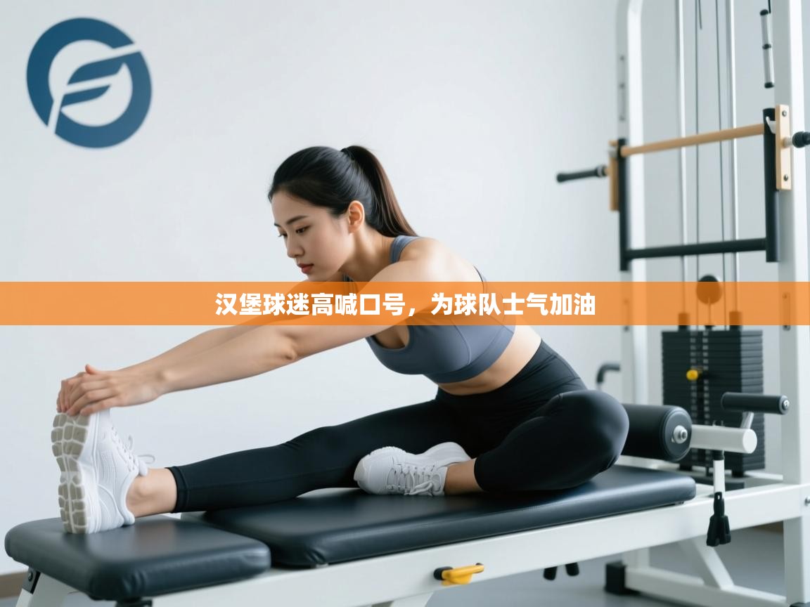 汉堡球迷高喊口号，为球队士气加油  第2张