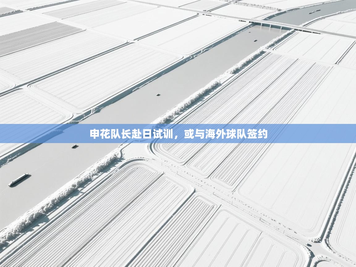 申花队长赴日试训，或与海外球队签约