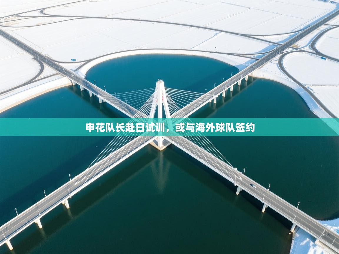 申花队长赴日试训，或与海外球队签约  第2张