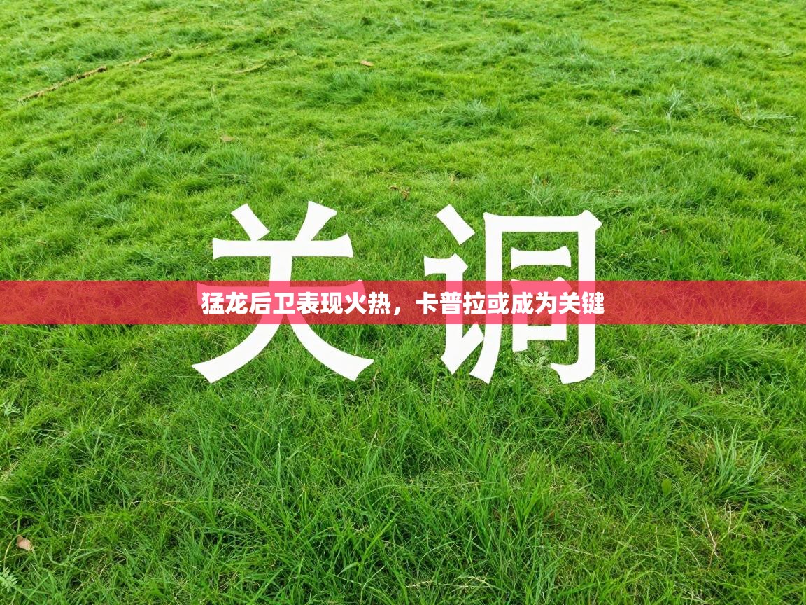 猛龙后卫表现火热，卡普拉或成为关键  第2张